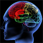 Measuring Intelligence: A Brief History